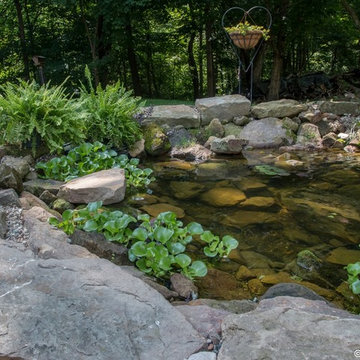Woodland Stream & Pond