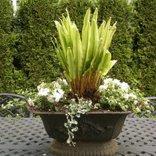 garden pots