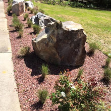 front yard