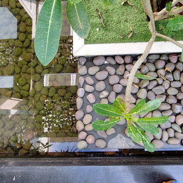 Restaurant entry Landscape