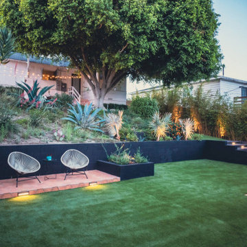 Backyard Remodeling
