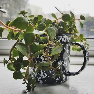 Creative Re-Use / Re-Purpose