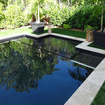 Contemporary Swimming Pool With Disappearing Spa - Shutowick