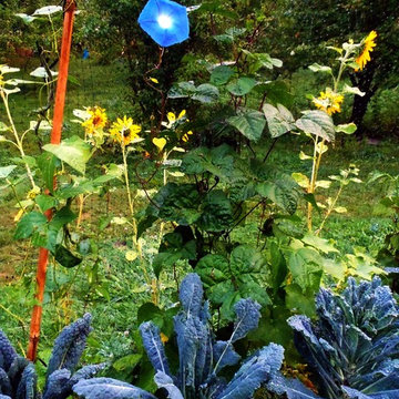 Blewett Acres Orchard & Edible Garden