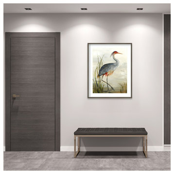 Grey Heron by Aimee Wilson Framed Wall Art 33 x 41