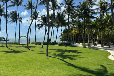 This is an example of a tropical landscaping in Miami.