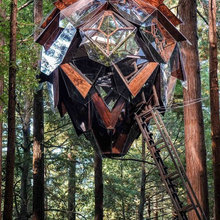 Treehouse
