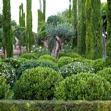 Huerta de las Monjas