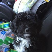 Nadine Shivers's photo