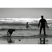 Photo de Kyle Lawler