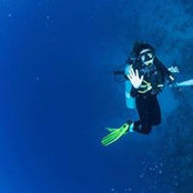 Amélie Pelletier's photo