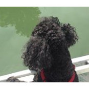 Angela Smith's photo