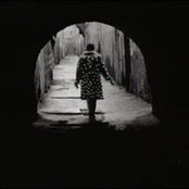Aleksa Lukic's photo