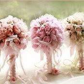 Angela Sousa's photo