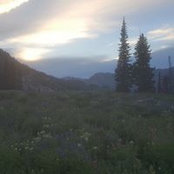 Foto di Tony Laymon