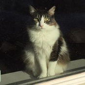 Bonalyn Brady's photo
