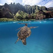 Jim Roscher's photo