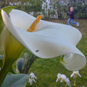 Foto de ROSA D B
