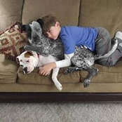 Trent Hatfield's photo