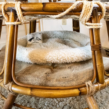 Indoor Cat Paradise