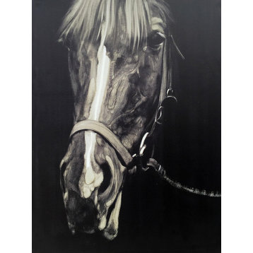 Wall Decor Painting Horse in the Dark III