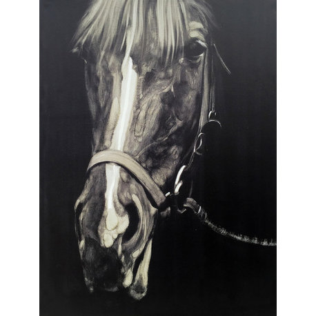 Wall Decor Painting Horse in the Dark III