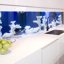 fishtank backsplash