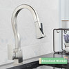 Kitchen Faucet With Flexible Pull Down Sprayer Mixer Tap, Brushed Nickel