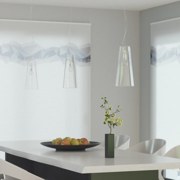 Honeycomb shades + blinds