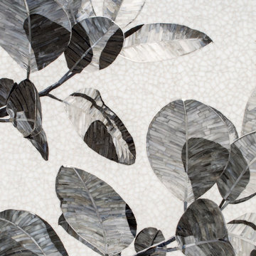 Canopy