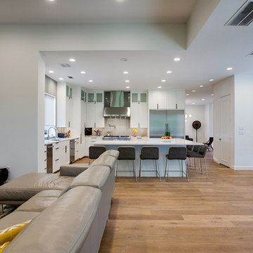 River Oaks Contemporary Complete Transformation