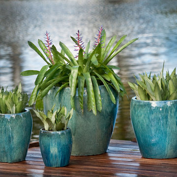 Palm Beach Container Gardens