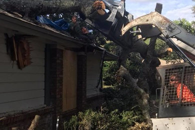 Emergency Tree Removal in Jacksonville, FL