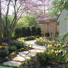 Landscape Ideas