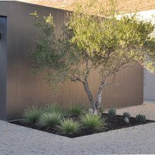 Tree landscape bed