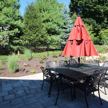 Complete Backyard Remodel