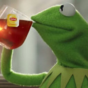 Kermit Tea Frogs foto