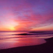 Peter Elbourne's photo