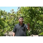 John Pyun's photo