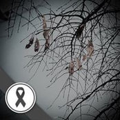 Gu PPoon's photo