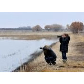 Wendy McClain's photo