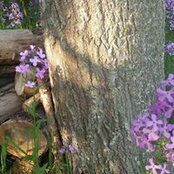 Marilyn Gunnare's photo