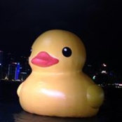 Adrian Kwok's photo