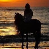 Patty Marshall's photo