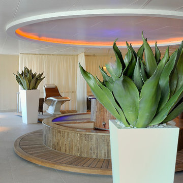 Emilio Robba Plantscaping - Agave