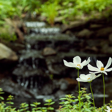 Natural Landscape and Pool - Plum, PA