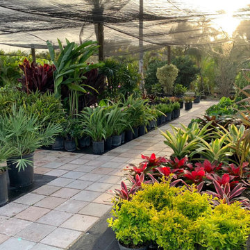 THE LANDSCAPING PEOPLE ' S NURSERY
