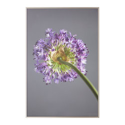 ALLIUM WALL ART &ndash; STEM - Products