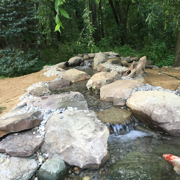 Pond Upgrades