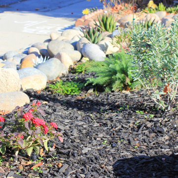 Low Maintenance Transitional